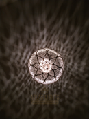 Moroccan Ceiling Light , Antique Brass Lamp , Pendant Light Moroccan Copper Brass Chandelier ,Moroccan pendant light , Moroccan lamp our Moroccan hanging pendant lamp